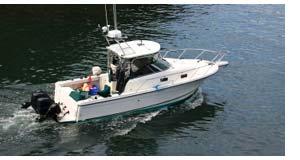 Fishing Boat in Nevada