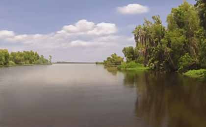 Lac des Allemands, Louisiana