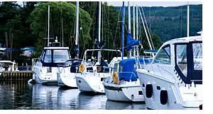 Boats in a Marina