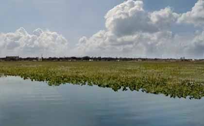 East Lake Tohopekaliga, Florida