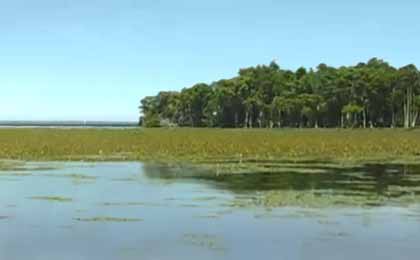 Lake George, Florida