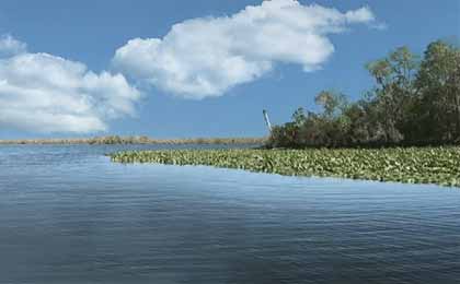 St Johns River, Florida