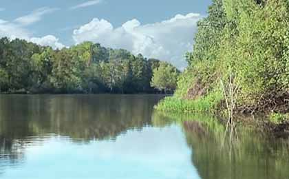 Atchafalaya Basin, LA