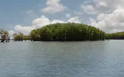 Caddo Lake, Louisiana