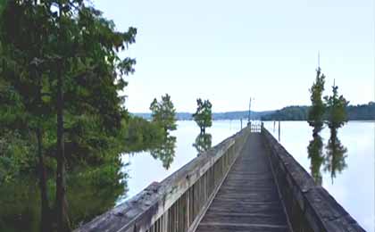 Lake D’Arbonne, LA