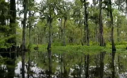 Lake Maurepas, Louisiana