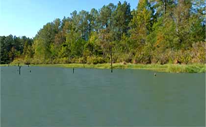 Toledo Bend Reservoir, Louisiana