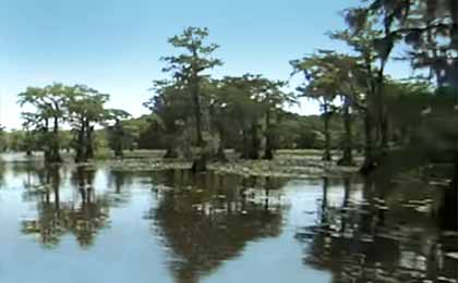 Caddo Lake, Texas