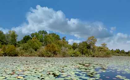 Sam Rayburn Reservoir, Texas