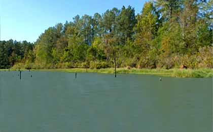 Toledo Bend, Texas